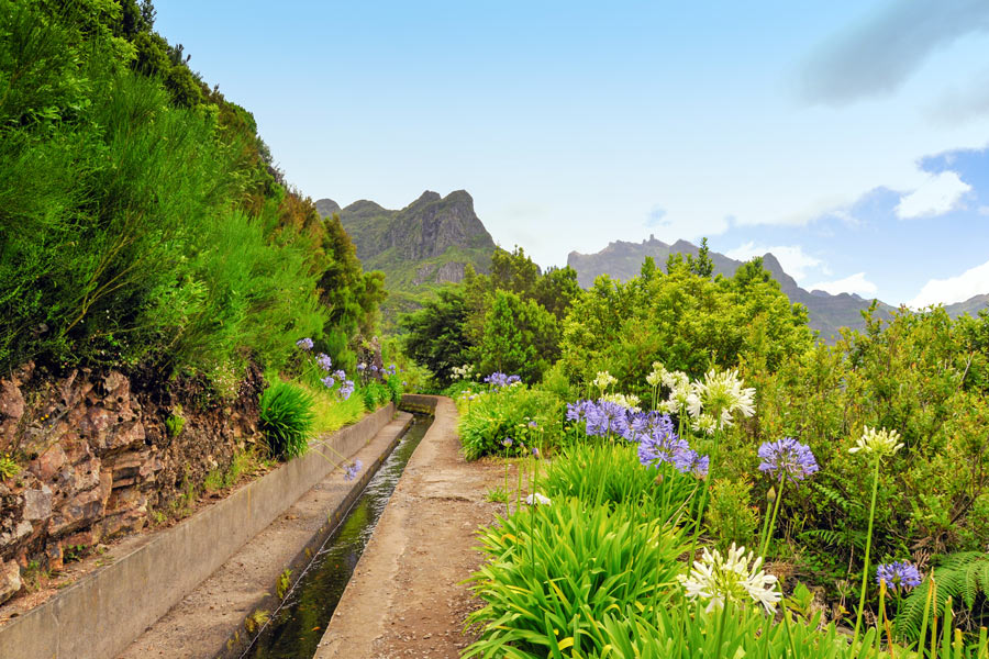 Prachtige en weelderige omgeving op Madeira