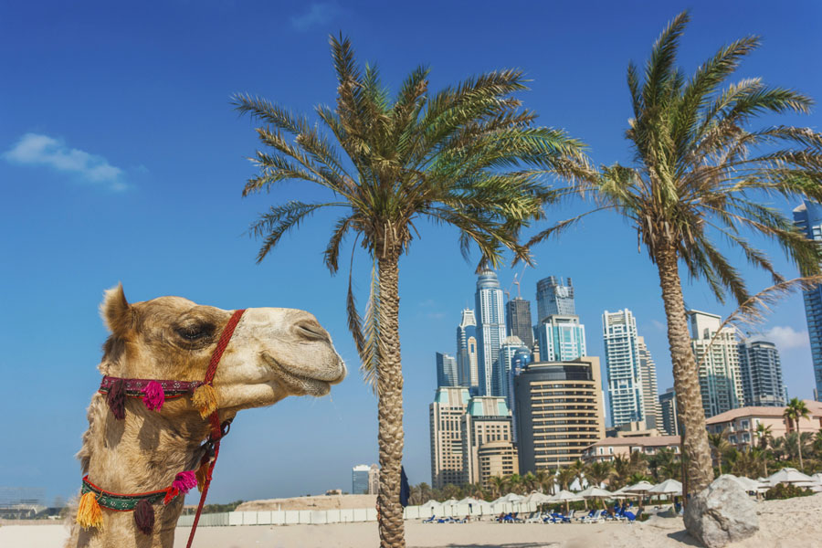 Waarom zou je naar Dubai reizen?