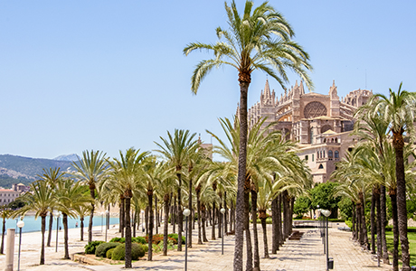 Palma de heetste stad van de zomer